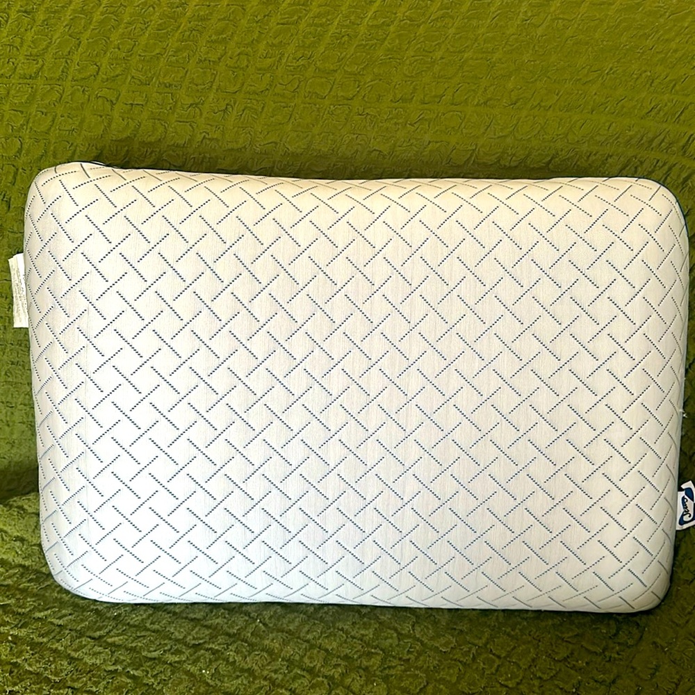 Sealy Memory foam pillow standard size.
